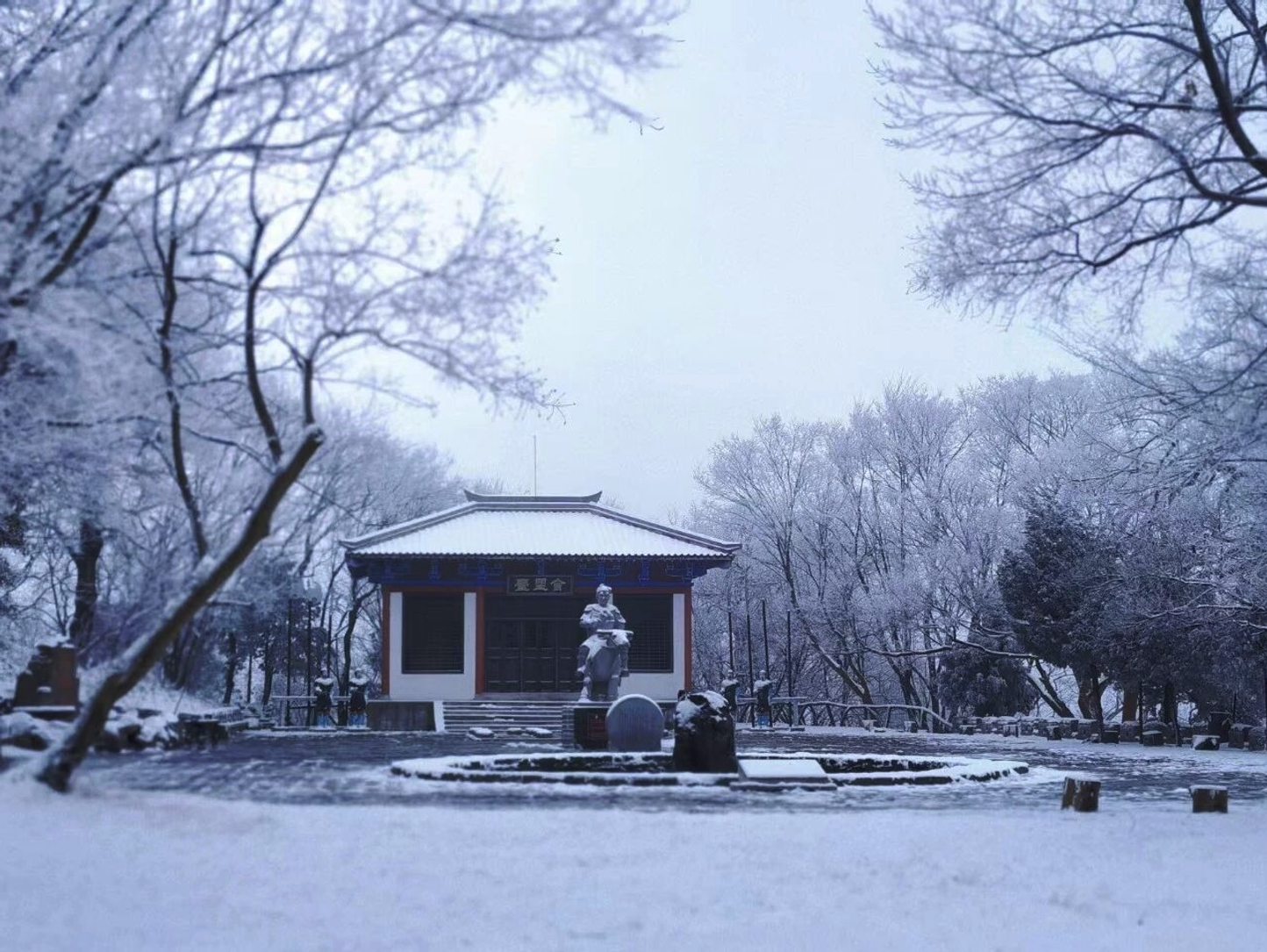 立冬 | 今日无雪，正好预告那片即将到来的银装素裹(图3)