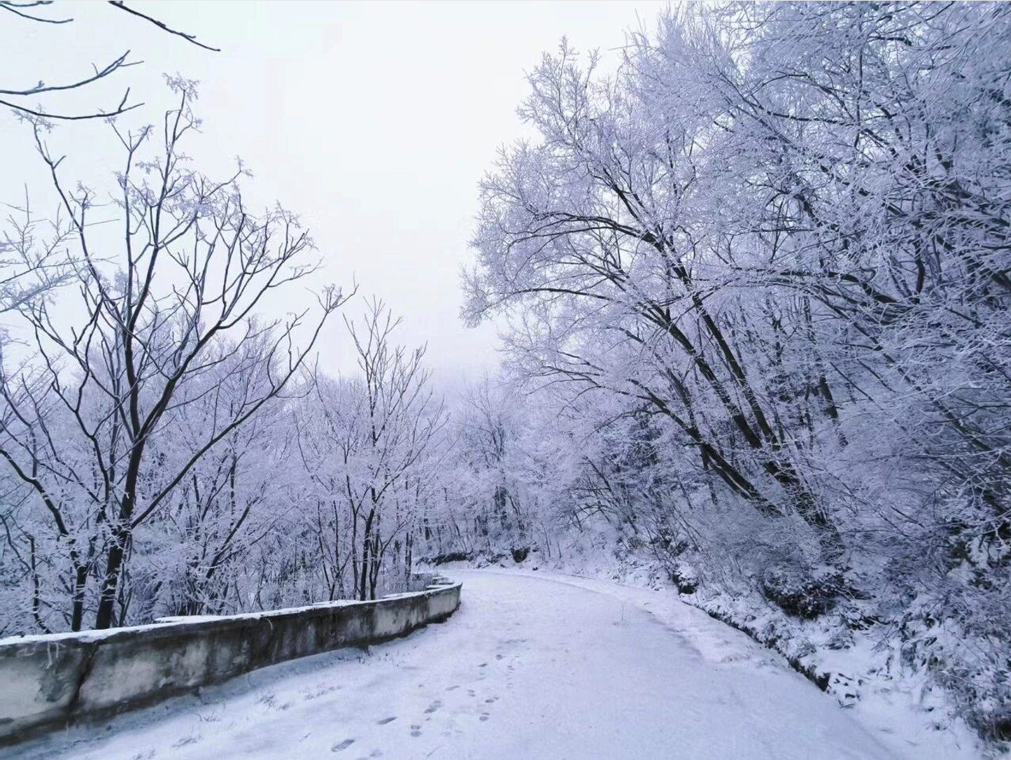 立冬 | 今日无雪，正好预告那片即将到来的银装素裹(图2)