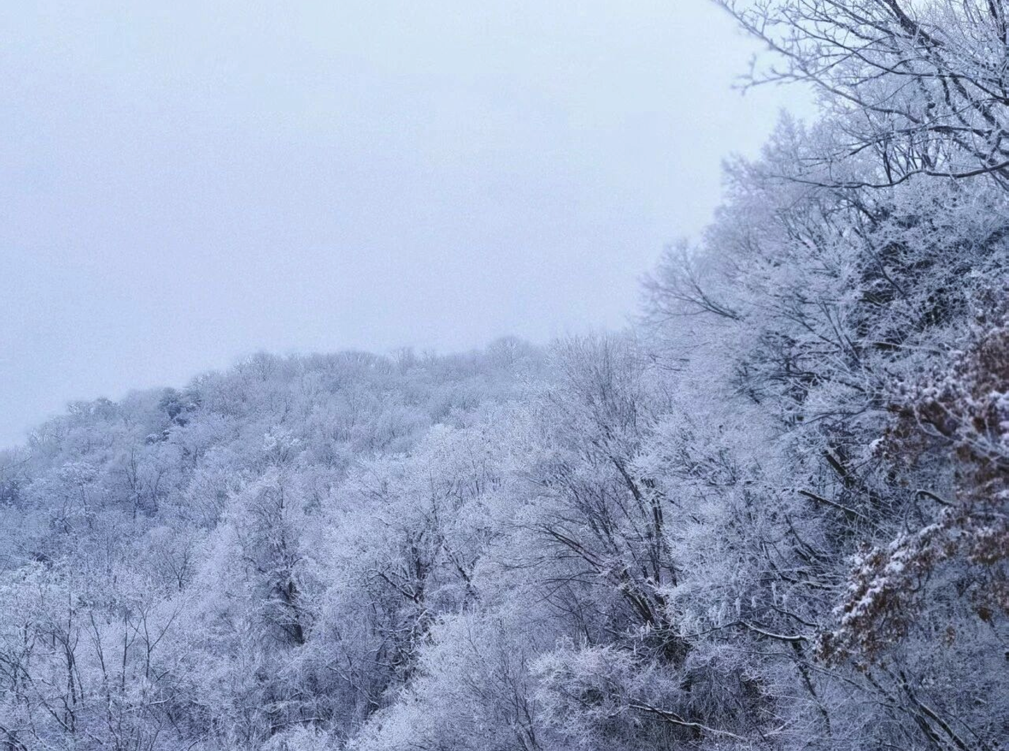 立冬 | 今日无雪，正好预告那片即将到来的银装素裹(图1)