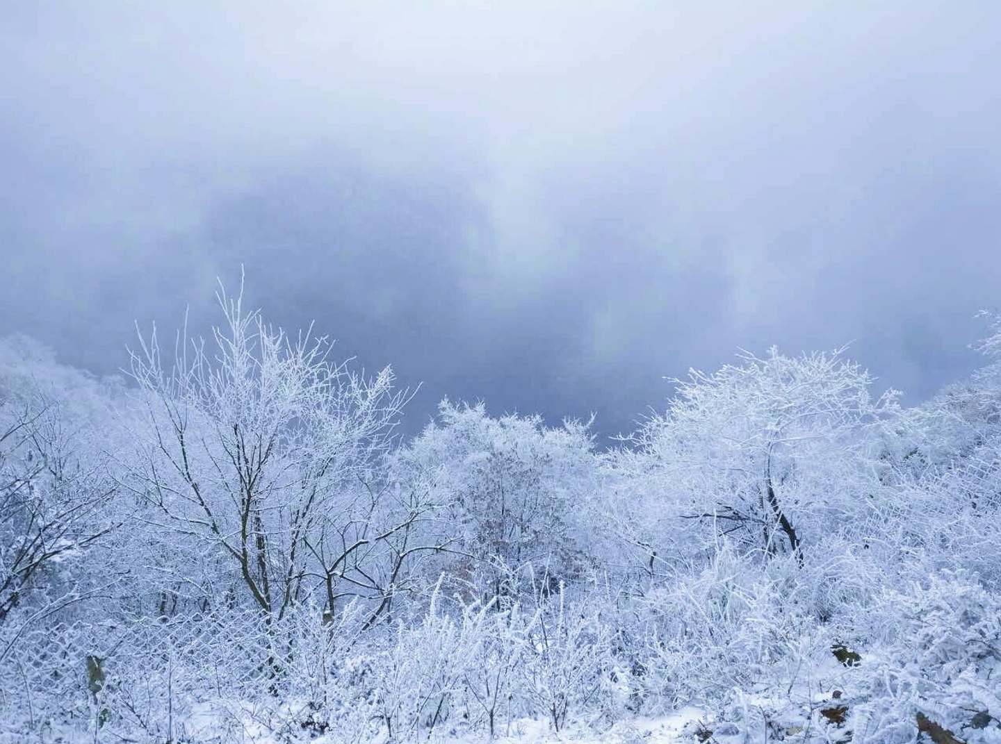 立冬 | 今日无雪，正好预告那片即将到来的银装素裹(图8)