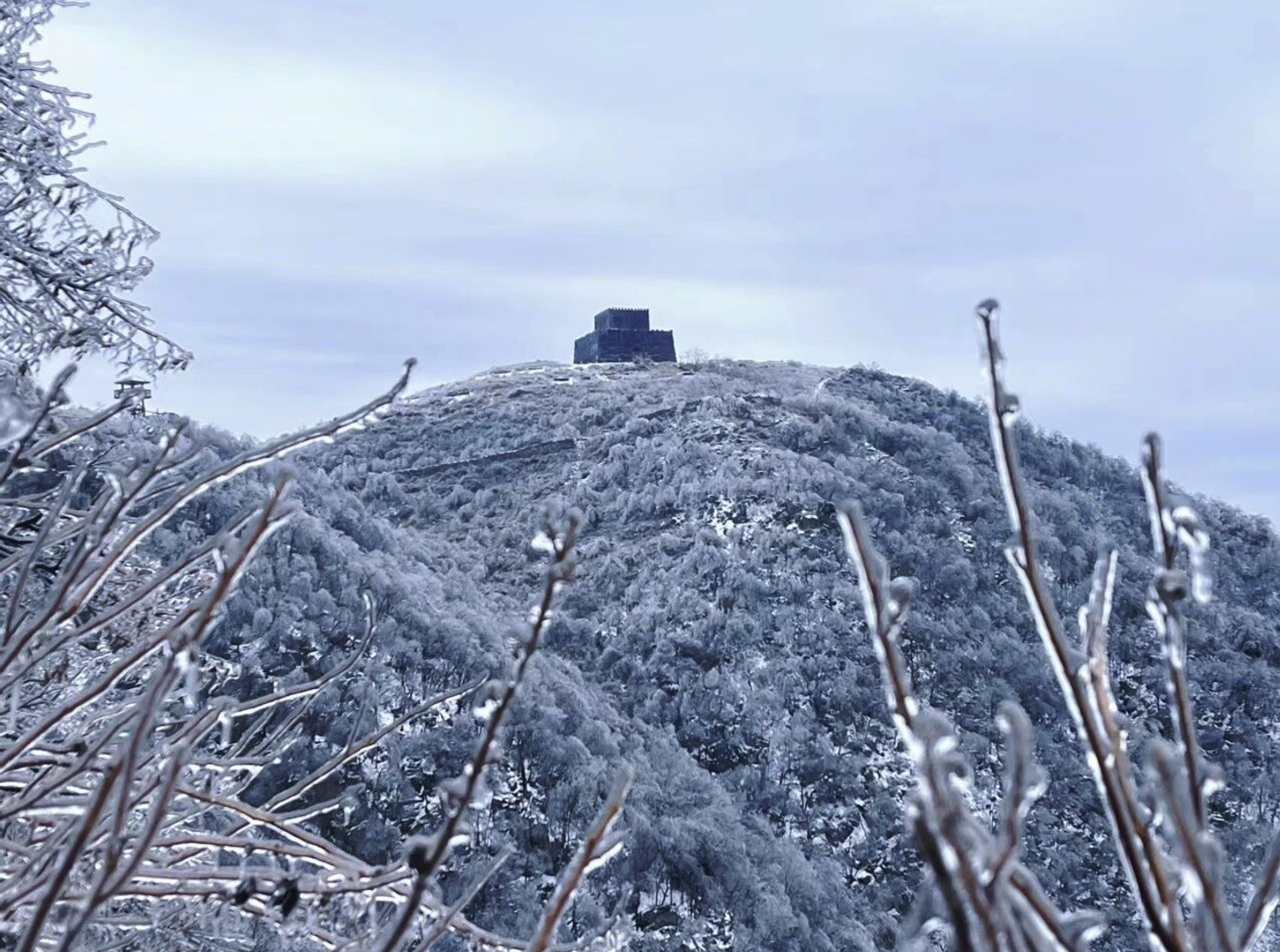 立冬 | 今日无雪，正好预告那片即将到来的银装素裹(图7)